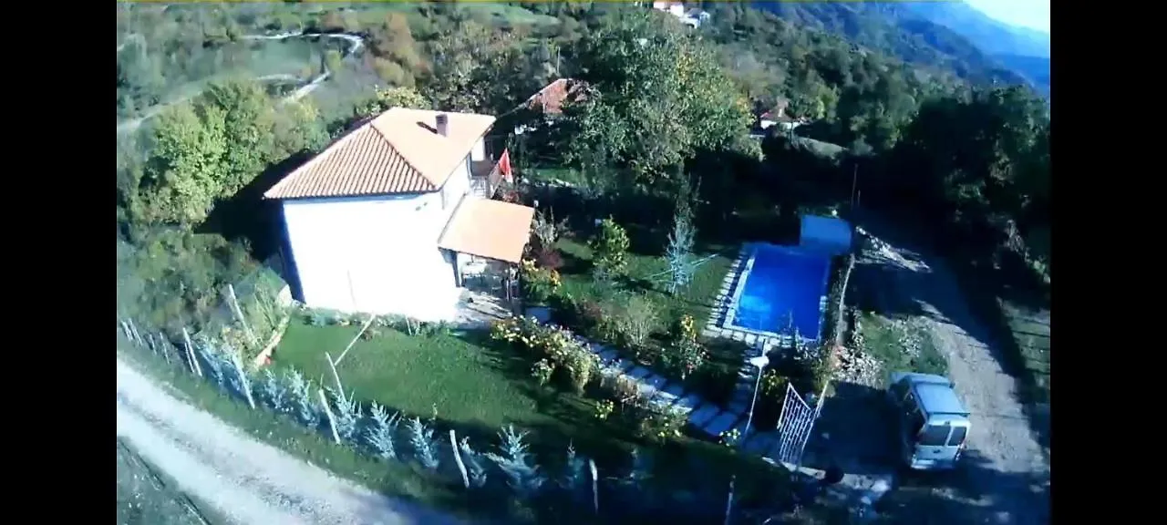 Vila Elektra Ξενοδοχείο Τίρανα