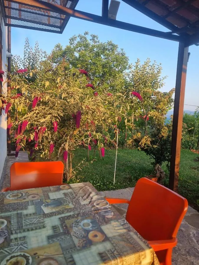 Vila Elektra Ξενοδοχείο Τίρανα