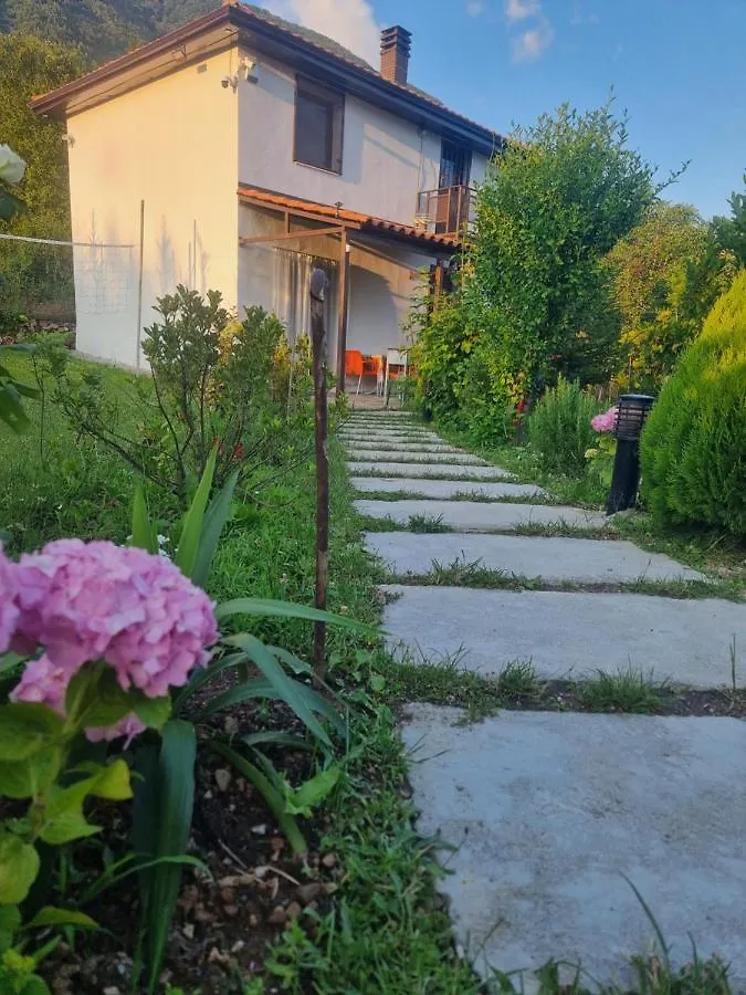 Πανσιόν Vila Elektra Ξενοδοχείο Τίρανα