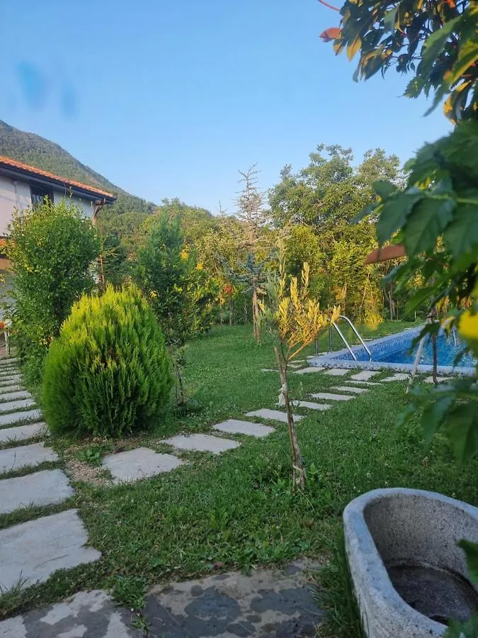 Vila Elektra Ξενοδοχείο Τίρανα Πανσιόν