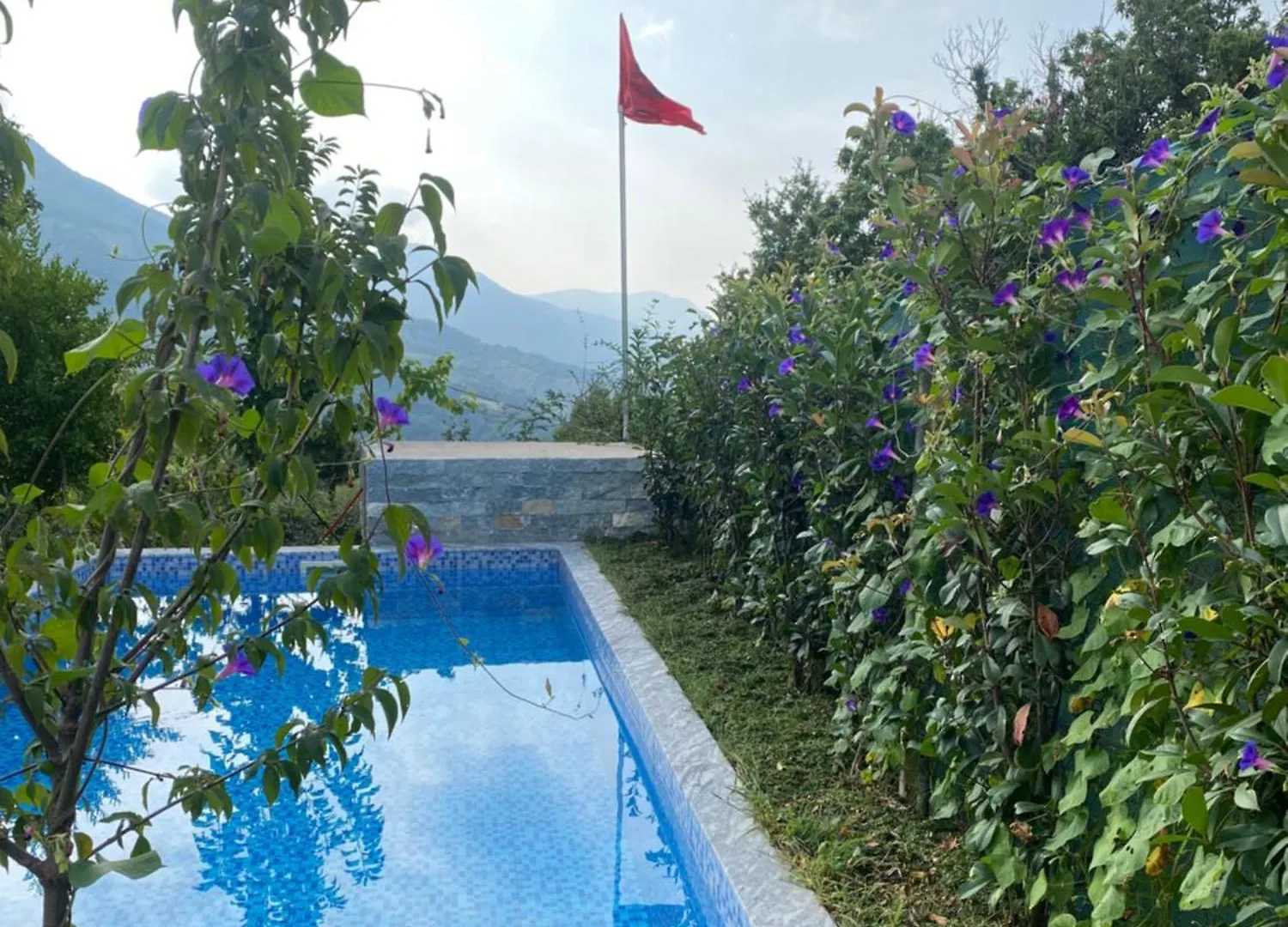Vila Elektra Ξενοδοχείο Τίρανα 0*,  Αλβανία